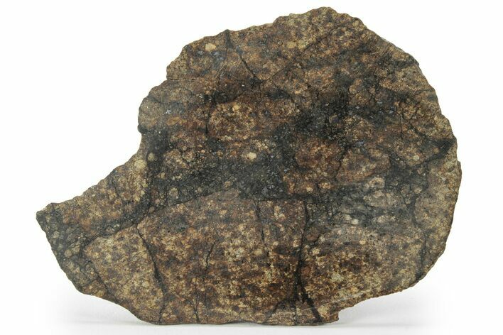 Chondrite Meteorite ( g) Slice with Shock Veins - Morocco #227976